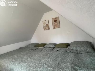 Продаж хатини Třemešné č. 47