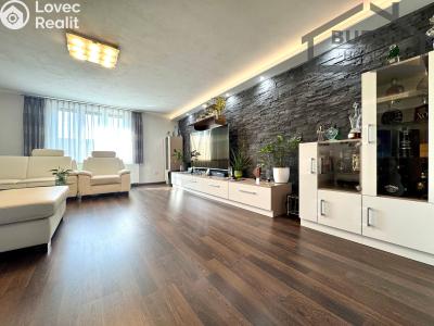 Продаж багатогенного будинку Bor, Plzeňská 317 č. 24