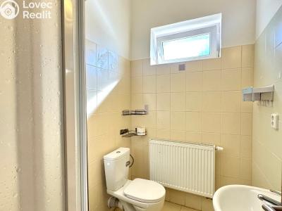 Продаж багатогенного будинку Bor, Plzeňská 317 č. 41