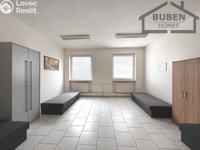 Pronájem skladového prostoru Planá, Zámecká 964 č. 5