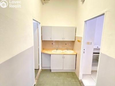 Pronájem skladového prostoru Planá, Zámecká 964 č. 12