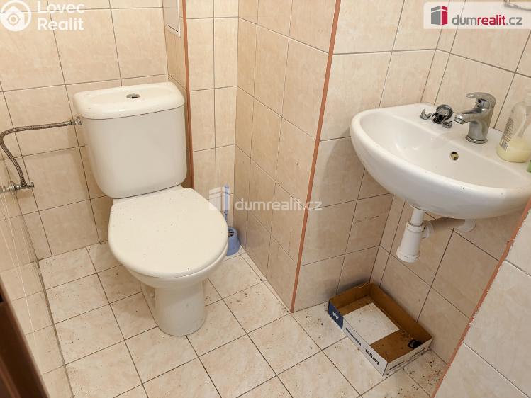 Продаж дачі Borovnice č. 4