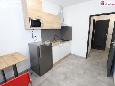 Rent apartment 1+KK Přimda č. 2