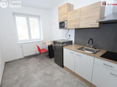Rent apartment 1+KK Přimda č. 3