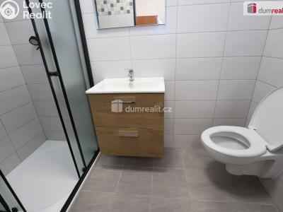 Rent apartment 1+KK Přimda č. 6