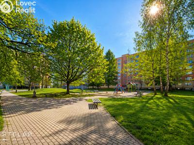 Продажа квартиры 3+1 Frýdek-Místek, Novodvorská 3054 č. 23