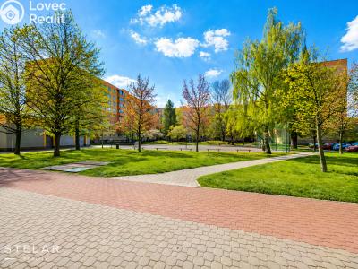 Продажа квартиры 3+1 Frýdek-Místek, Novodvorská 3054 č. 29