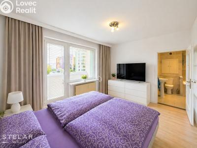Prodej bytu 3+1 Frýdek-Místek, Novodvorská 3054 č. 4