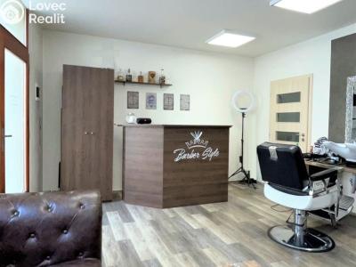 Продаж комерційної нерухомості Žatec, Nákladní č. 14