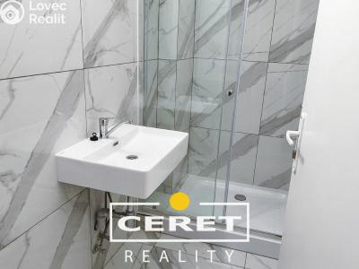 Продаж комерційної нерухомості Žatec, Nákladní č. 18