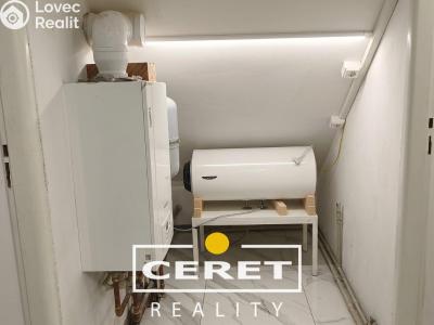 Продаж комерційної нерухомості Žatec, Nákladní č. 19