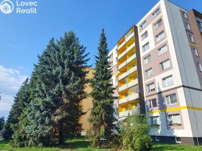 Продаж квартири 1+KK Valašské Meziříčí, Vsetínská č. 2