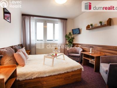 Prodej ubytovacího zařízení Horní Planá č. 29