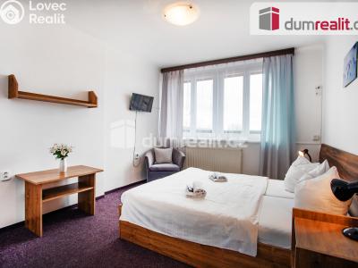 Prodej ubytovacího zařízení Horní Planá č. 30