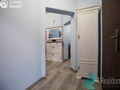 Prodej bytu 2+1 Karlovy Vary, Raisova č. 8