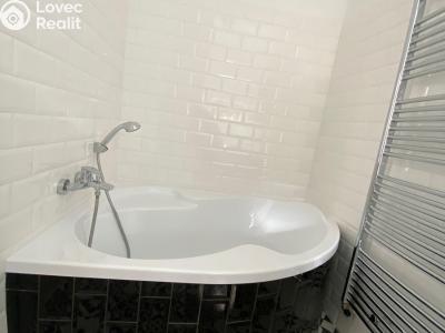 Pronájem bytu 3+KK České Budějovice, Dobrovodská č. 11