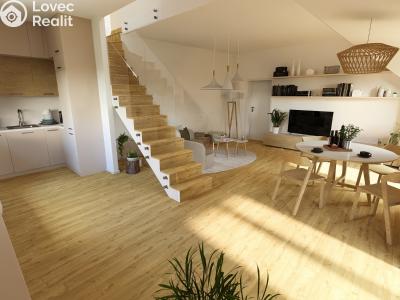 Продаж квартири 3+KK Černý Důl č. 3
