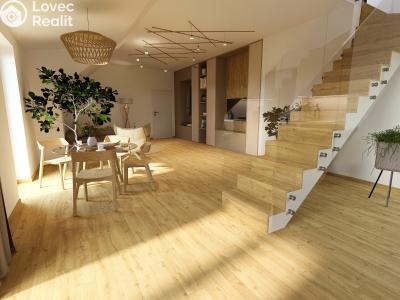 Продаж квартири 3+KK Černý Důl č. 13
