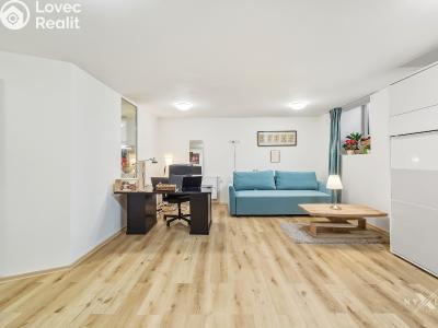 Продаж квартири 1+1 Praha, Za vokovickou vozovnou č. 2