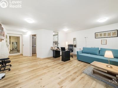 Продаж квартири 1+1 Praha, Za vokovickou vozovnou č. 4