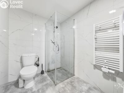 Продаж квартири 1+1 Praha, Za vokovickou vozovnou č. 9