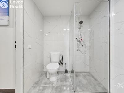 Продаж квартири 1+1 Praha, Za vokovickou vozovnou č. 10