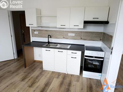Pronájem bytu 2+1 Děčín, V Sídlišti 390 č. 1