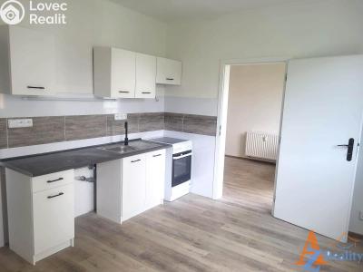 Pronájem bytu 2+1 Děčín, V Sídlišti 390 č. 4