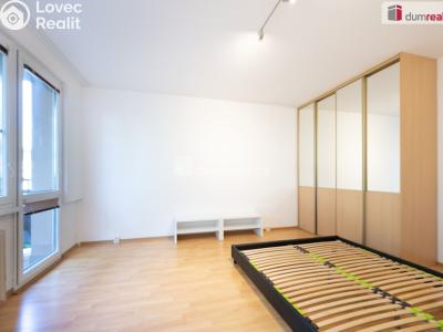 Pronájem bytu 1+1 České Budějovice, J. Plachty č. 7
