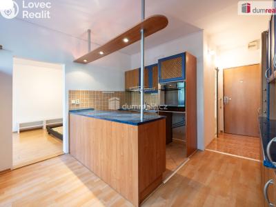 Pronájem bytu 1+1 České Budějovice, J. Plachty č. 5