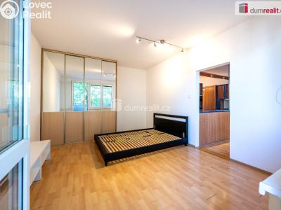 Pronájem bytu 1+1 České Budějovice, J. Plachty č. 21