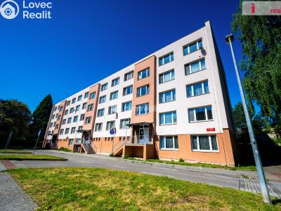 Pronájem bytu 1+1 České Budějovice, J. Plachty č. 33