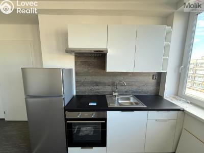 Pronájem bytu 1+KK Chomutov, Žižkovo náměstí 4796 č. 8