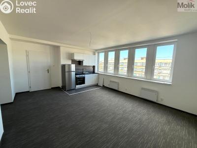Pronájem bytu 1+KK Chomutov, Žižkovo náměstí 4796 č. 1