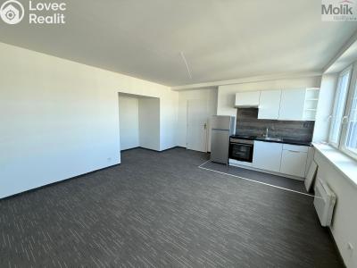 Pronájem bytu 1+KK Chomutov, Žižkovo náměstí 4796 č. 2