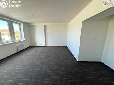 Pronájem bytu 1+KK Chomutov, Žižkovo náměstí 4796 č. 3
