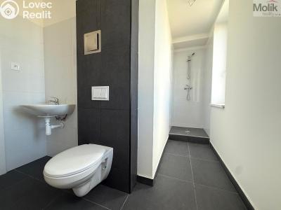 Pronájem bytu 1+KK Chomutov, Žižkovo náměstí 4796 č. 5