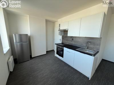 Pronájem bytu 1+KK Chomutov, Žižkovo náměstí 4796 č. 7