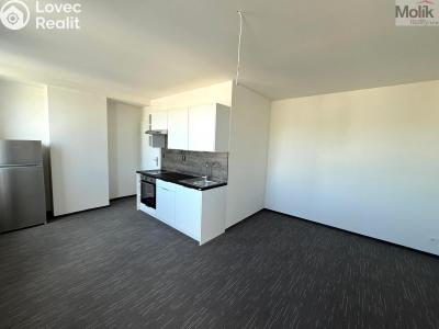 Pronájem bytu 1+KK Chomutov, Žižkovo náměstí 4796 č. 3
