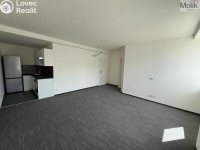 Pronájem bytu 2+KK Chomutov, Žižkovo náměstí 4796 č. 1