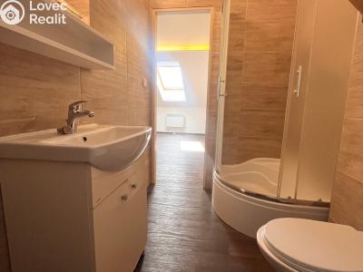 Pronájem bytu 1+KK Ostrava, Dvouletky č. 5
