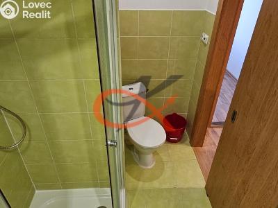 Pronájem bytu 2+KK Rožnov pod Radhoštěm, 5. května 1539 č. 10