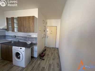 Pronájem bytu 1+1 Chomutov, Dřínovská 4593 č. 1