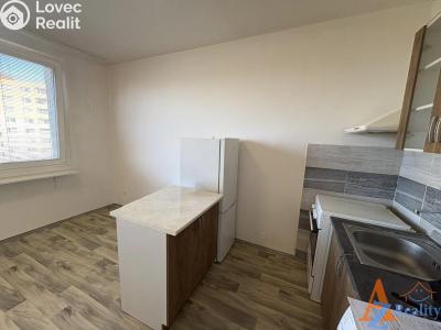 Pronájem bytu 1+1 Chomutov, Dřínovská 4593 č. 4