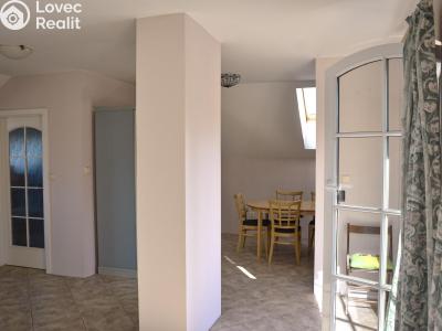 Prodej vícegeneračního domu Olšany č. 22