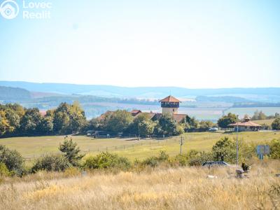 Prodej vícegeneračního domu Olšany č. 34