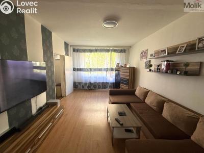 Prodej bytu 3+1 Krupka, Karla Čapka 243 č. 4