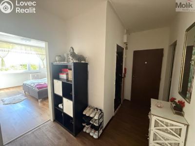 Prodej bytu 3+1 Krupka, Karla Čapka 243 č. 13