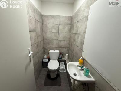 Prodej bytu 3+1 Krupka, Karla Čapka 243 č. 14
