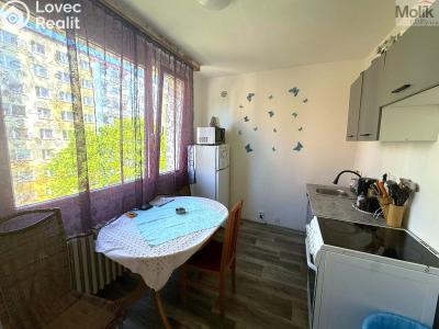 Prodej bytu 4+1 Krupka, Karla Čapka 245 č. 5